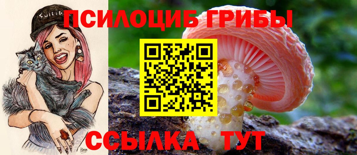 Галлюциногенные грибы прущие грибы Бугуруслан